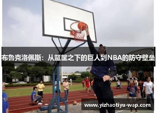 布鲁克洛佩斯：从篮筐之下的巨人到NBA的防守壁垒